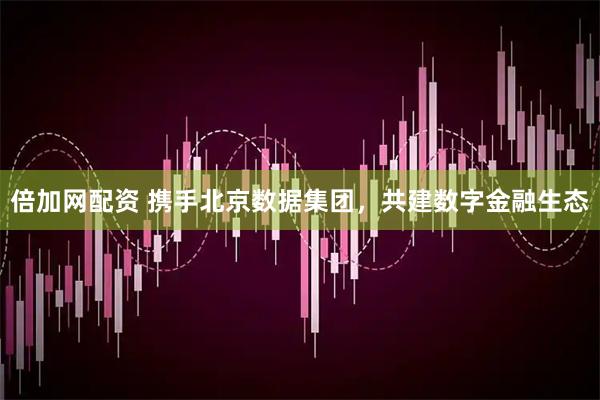 倍加网配资 携手北京数据集团，共建数字金融生态
