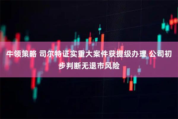 牛领策略 司尔特证实重大案件获提级办理 公司初步判断无退市风险