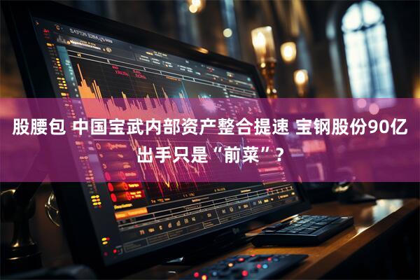 股腰包 中国宝武内部资产整合提速 宝钢股份90亿出手只是“前菜”？