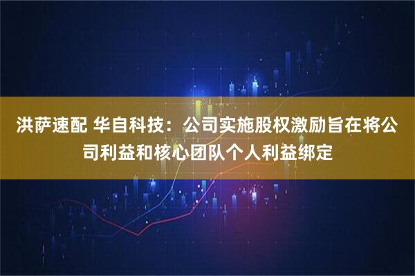 洪萨速配 华自科技：公司实施股权激励旨在将公司利益和核心团队个人利益绑定