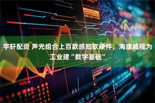 宇轩配资 声光组合上百款感知软硬件，海康威视为工业建“数字基础”