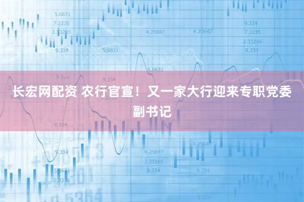 长宏网配资 农行官宣！又一家大行迎来专职党委副书记