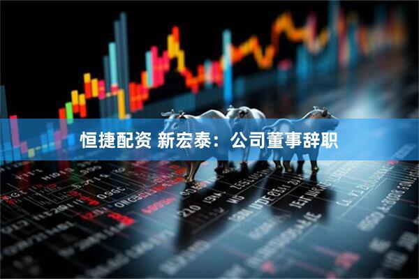 恒捷配资 新宏泰：公司董事辞职