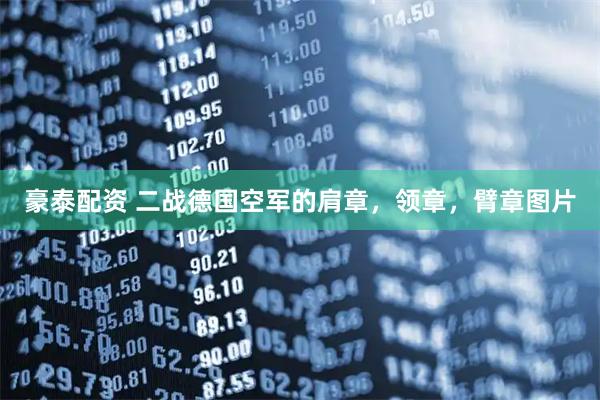豪泰配资 二战德国空军的肩章，领章，臂章图片