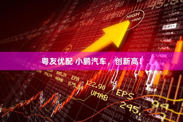 粤友优配 小鹏汽车，创新高！
