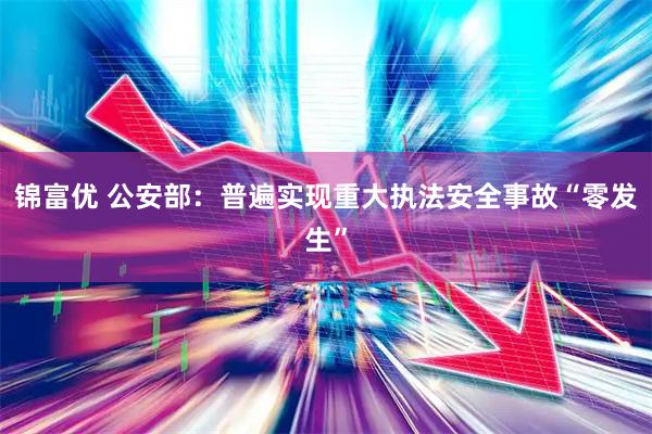 锦富优 公安部：普遍实现重大执法安全事故“零发生”