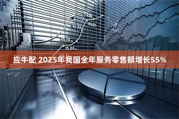 应牛配 2025年我国全年服务零售额增长55%