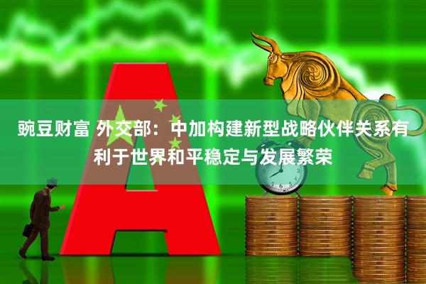 豌豆财富 外交部：中加构建新型战略伙伴关系有利于世界和平稳定与发展繁荣