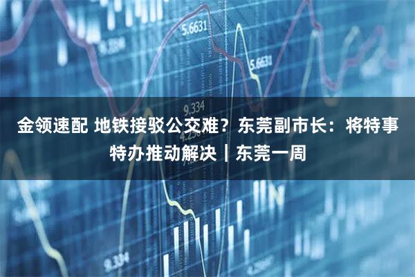 金领速配 地铁接驳公交难？东莞副市长：将特事特办推动解决｜东莞一周