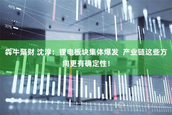 犇牛聚财 沈淳：锂电板块集体爆发  产业链这些方向更有确定性！
