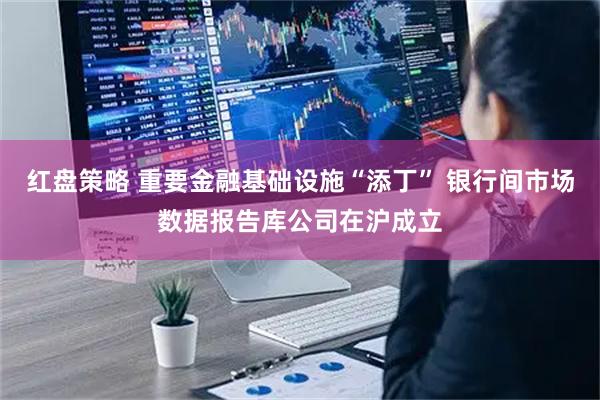 红盘策略 重要金融基础设施“添丁” 银行间市场数据报告库公司在沪成立