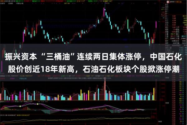 振兴资本 “三桶油”连续两日集体涨停，中国石化股价创近18年新高，石油石化板块个股掀涨停潮