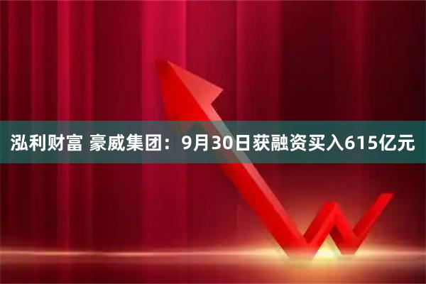 泓利财富 豪威集团：9月30日获融资买入615亿元