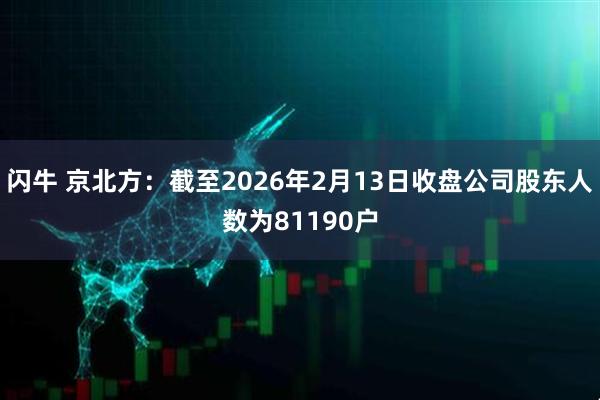 闪牛 京北方：截至2026年2月13日收盘公司股东人数为81190户