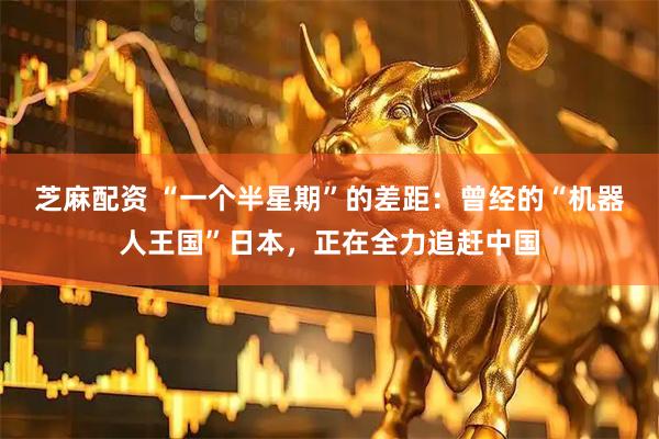 芝麻配资 “一个半星期”的差距：曾经的“机器人王国”日本，正在全力追赶中国